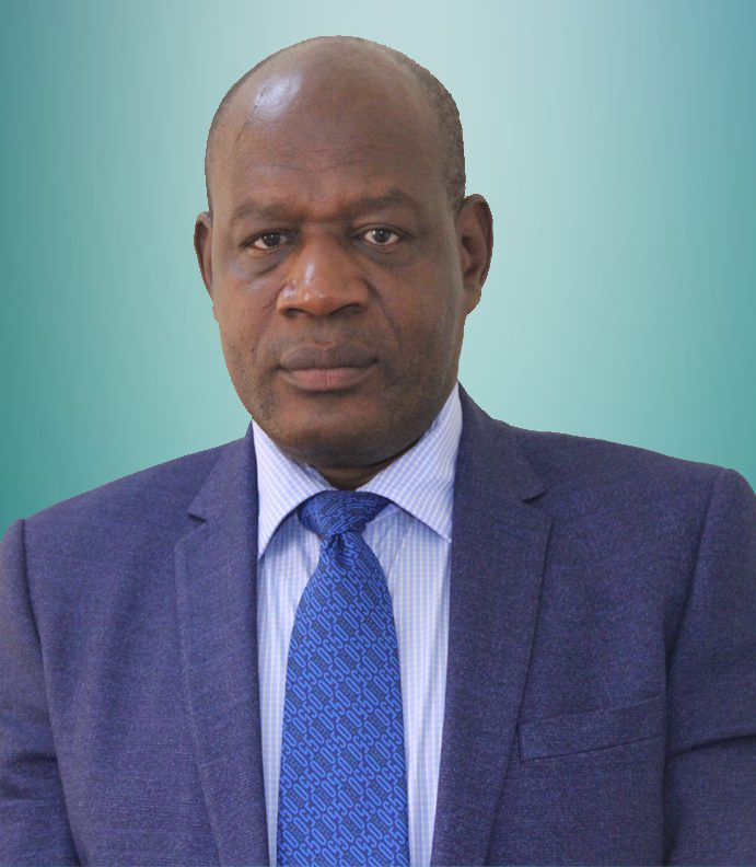 Mr. Mshelia Madu Ibrahim