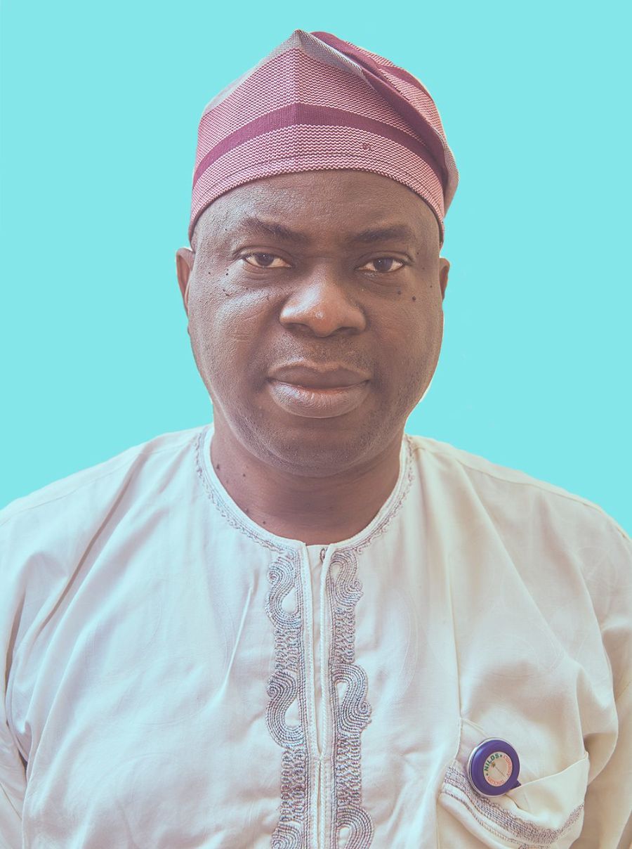 Mr. David Akinyemi Osanaiye